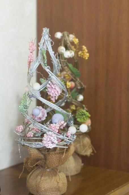 Mochida's ホームステイ *